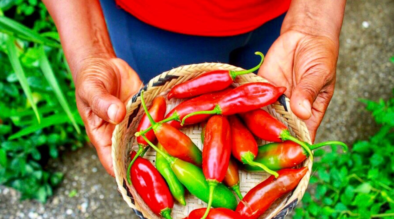 Comida típica - Choco, Colombia