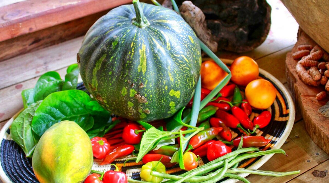Frutas y verduras de la selva chocoana